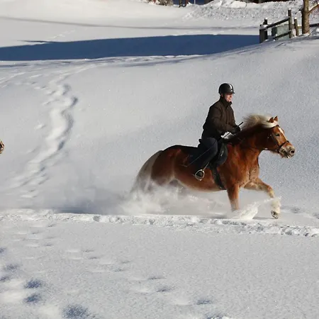 By Alpenlodge Hotel